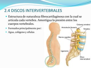 Valoración carga trabajo derivada.