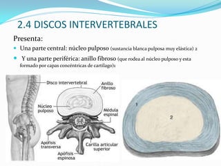 Realización diseño definitivo del trabajo o rediseño para aumentar seguridad, bienestar y efectividad.1.5 ESTUDIO ERGONOMICOHay que:Analizar tarea
