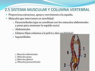 Conocer características y capacidades personales