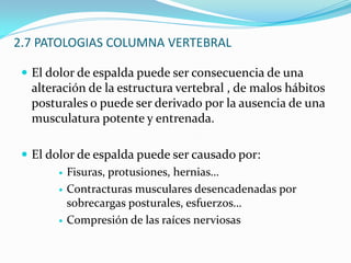 2. ESTRUCTURAS IMPLICADAS EN EL MANEJO DE CARGAS: COLUMNA VERTEBRAL2.1 FUNCIONES DE LA COLUMNA VERTEBRAL2.2 ESTRUCTURA2.3 VERTEBRAS2.4 DISCOS INTERVERTEBRALES2.5 SISTEMA MUSCULAR Y COLUMNA VERTEBRAL2.6 CARACTERISTICAS BIOMECANICAS ELEMENTOS COLUMNA2.7 PATOLOGIAS COLUMNA VERTEBRAL2.8 HIGIENE POSTURAL