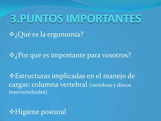 Glúteos (fijan columna a la pelvis y dan estabilidad)