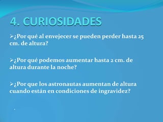 Isquiotibiales1. Músculos abdominales 2. Músculos psoas 3. Músculos glúteos 4. Músculos paravertebrales 