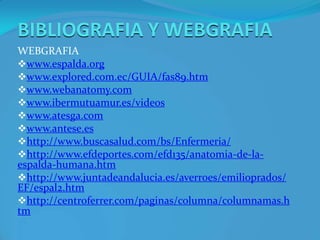 2.6 CARACTERISTICAS BIOMECANICAS ELEMENTOS COLUMNAEn flexión:el disco se desplaza hacia atrásEn extensión: el disco se desplaza hacia delante