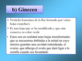 Vertificilo TEMA 8 FLOR FARMACOBOTANICA,................. | PDF