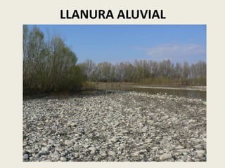 LLANURA ALUVIAL

 