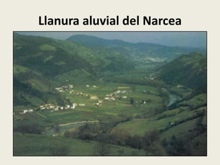 Llanura aluvial del Narcea

 
