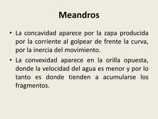 Meandros
• La concavidad aparece por la zapa producida
por la corriente al golpear de frente la curva,
por la inercia del movimiento.
• La convexidad aparece en la orilla opuesta,
donde la velocidad del agua es menor y por lo
tanto es donde tienden a acumularse los
fragmentos.

 