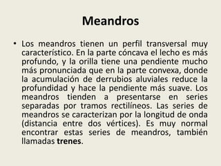 Meandros
• Los meandros tienen un perfil transversal muy
característico. En la parte cóncava el lecho es más
profundo, y la orilla tiene una pendiente mucho
más pronunciada que en la parte convexa, donde
la acumulación de derrubios aluviales reduce la
profundidad y hace la pendiente más suave. Los
meandros tienden a presentarse en series
separadas por tramos rectilíneos. Las series de
meandros se caracterizan por la longitud de onda
(distancia entre dos vértices). Es muy normal
encontrar estas series de meandros, también
llamadas trenes.

 