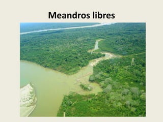 Meandros libres

 