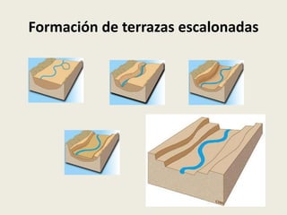 Formación de terrazas escalonadas

 