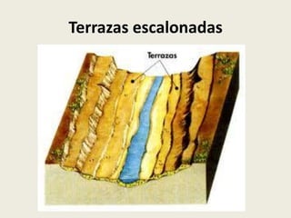Terrazas escalonadas

 