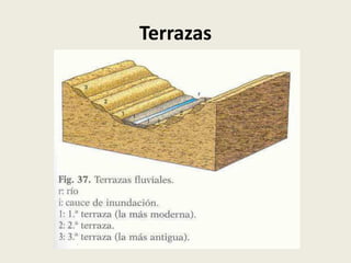 Terrazas

 