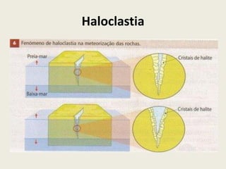 Haloclastia

 