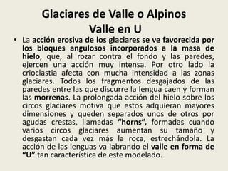 Glaciares de Valle o Alpinos
Valle en U

• La acción erosiva de los glaciares se ve favorecida por
los bloques angulosos incorporados a la masa de
hielo, que, al rozar contra el fondo y las paredes,
ejercen una acción muy intensa. Por otro lado la
crioclastia afecta con mucha intensidad a las zonas
glaciares. Todos los fragmentos desgajados de las
paredes entre las que discurre la lengua caen y forman
las morrenas. La prolongada acción del hielo sobre los
circos glaciares motiva que estos adquieran mayores
dimensiones y queden separados unos de otros por
agudas crestas, llamadas “horns”, formadas cuando
varios circos glaciares aumentan su tamaño y
desgastan cada vez más la roca, estrechándola. La
acción de las lenguas va labrando el valle en forma de
“U” tan característica de este modelado.

 