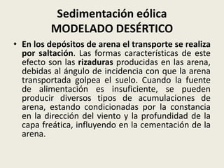 Sedimentación eólica
MODELADO DESÉRTICO
• En los depósitos de arena el transporte se realiza
por saltación. Las formas características de este
efecto son las rizaduras producidas en las arena,
debidas al ángulo de incidencia con que la arena
transportada golpea el suelo. Cuando la fuente
de alimentación es insuficiente, se pueden
producir diversos tipos de acumulaciones de
arena, estando condicionadas por la constancia
en la dirección del viento y la profundidad de la
capa freática, influyendo en la cementación de la
arena.

 