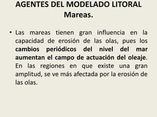 AGENTES DEL MODELADO LITORAL
Mareas.
• Las mareas tienen gran influencia en la
capacidad de erosión de las olas, pues los
cambios periódicos del nivel del mar
aumentan el campo de actuación del oleaje.
En las regiones en que existe una gran
amplitud, se ve más afectada por la erosión de
las olas.

 