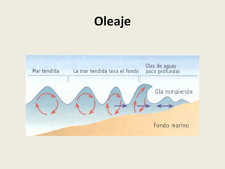 Oleaje

 