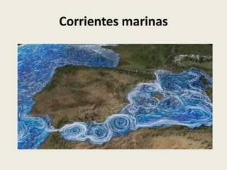 Corrientes marinas

 