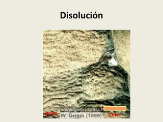 Disolución

 