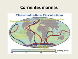 Corrientes marinas

 