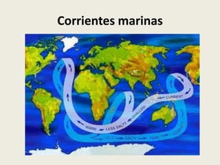 Corrientes marinas

 