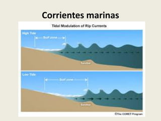 Corrientes marinas

 