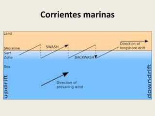 Corrientes marinas

 