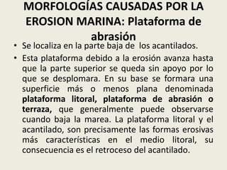 MORFOLOGÍAS CAUSADAS POR LA
EROSION MARINA: Plataforma de
abrasión

• Se localiza en la parte baja de los acantilados.
• Esta plataforma debido a la erosión avanza hasta
que la parte superior se queda sin apoyo por lo
que se desplomara. En su base se formara una
superficie más o menos plana denominada
plataforma litoral, plataforma de abrasión o
terraza, que generalmente puede observarse
cuando baja la marea. La plataforma litoral y el
acantilado, son precisamente las formas erosivas
más características en el medio litoral, su
consecuencia es el retroceso del acantilado.

 