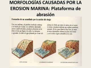MORFOLOGÍAS CAUSADAS POR LA
EROSION MARINA: Plataforma de
abrasión

 