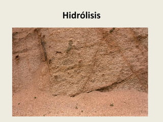 Hidrólisis

 