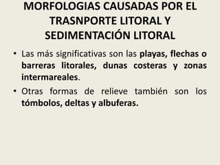 MORFOLOGIAS CAUSADAS POR EL
TRASNPORTE LITORAL Y
SEDIMENTACIÓN LITORAL
• Las más significativas son las playas, flechas o
barreras litorales, dunas costeras y zonas
intermareales.
• Otras formas de relieve también son los
tómbolos, deltas y albuferas.

 
