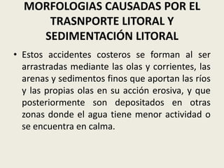 MORFOLOGIAS CAUSADAS POR EL
TRASNPORTE LITORAL Y
SEDIMENTACIÓN LITORAL
• Estos accidentes costeros se forman al ser
arrastradas mediante las olas y corrientes, las
arenas y sedimentos finos que aportan las ríos
y las propias olas en su acción erosiva, y que
posteriormente son depositados en otras
zonas donde el agua tiene menor actividad o
se encuentra en calma.

 