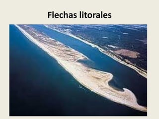 Flechas litorales

 