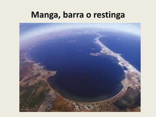 Manga, barra o restinga

 