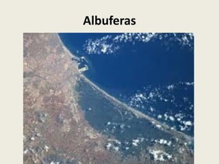 Albuferas

 