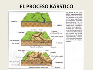 EL PROCESO KÁRSTICO

 