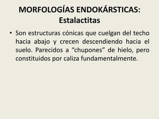 MORFOLOGÍAS ENDOKÁRSTICAS:
Estalactitas
• Son estructuras cónicas que cuelgan del techo
hacia abajo y crecen descendiendo hacia el
suelo. Parecidos a “chupones” de hielo, pero
constituidos por caliza fundamentalmente.

 