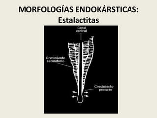 MORFOLOGÍAS ENDOKÁRSTICAS:
Estalactitas

 