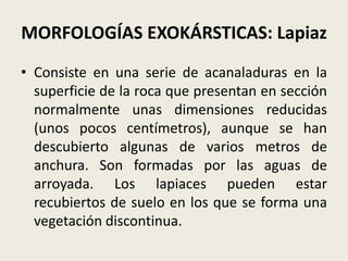 MORFOLOGÍAS EXOKÁRSTICAS: Lapiaz
• Consiste en una serie de acanaladuras en la
superficie de la roca que presentan en sección
normalmente unas dimensiones reducidas
(unos pocos centímetros), aunque se han
descubierto algunas de varios metros de
anchura. Son formadas por las aguas de
arroyada. Los lapiaces pueden estar
recubiertos de suelo en los que se forma una
vegetación discontinua.

 