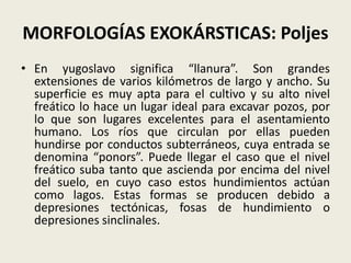 MORFOLOGÍAS EXOKÁRSTICAS: Poljes
• En yugoslavo significa “llanura”. Son grandes
extensiones de varios kilómetros de largo y ancho. Su
superficie es muy apta para el cultivo y su alto nivel
freático lo hace un lugar ideal para excavar pozos, por
lo que son lugares excelentes para el asentamiento
humano. Los ríos que circulan por ellas pueden
hundirse por conductos subterráneos, cuya entrada se
denomina “ponors”. Puede llegar el caso que el nivel
freático suba tanto que ascienda por encima del nivel
del suelo, en cuyo caso estos hundimientos actúan
como lagos. Estas formas se producen debido a
depresiones tectónicas, fosas de hundimiento o
depresiones sinclinales.

 