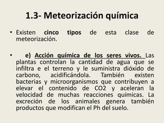 1.3- Meteorización química
• Existen cinco
meteorización.
•

tipos

de

esta

clase

de

e) Acción química de los seres vivos. Las
plantas controlan la cantidad de agua que se
infiltra e el terreno y le suministra dióxido de
carbono, acidificándola. También existen
bacterias y microorganismos que contribuyen a
elevar el contenido de CO2 y aceleran la
velocidad de muchas reacciones químicas. La
excreción de los animales genera también
productos que modifican el Ph del suelo.

 