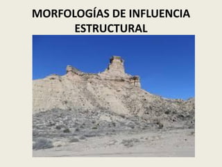 MORFOLOGÍAS DE INFLUENCIA
ESTRUCTURAL

 