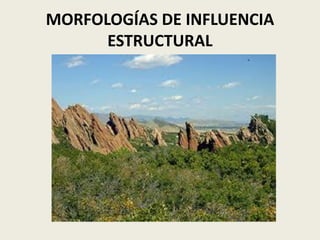 MORFOLOGÍAS DE INFLUENCIA
ESTRUCTURAL

 