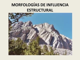 MORFOLOGÍAS DE INFLUENCIA
ESTRUCTURAL

 