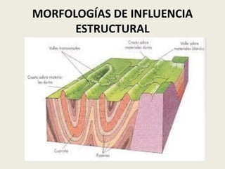 MORFOLOGÍAS DE INFLUENCIA
ESTRUCTURAL

 