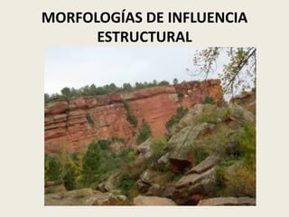 MORFOLOGÍAS DE INFLUENCIA
ESTRUCTURAL

 