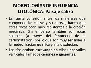 MORFOLOGÍAS DE INFLUENCIA
LITOLÓGICA: Paisaje calizo
• La fuerte cohesión entre los minerales que
componen las calizas y su dureza, hacen que
estas rocas sean muy resistentes a la erosión
mecánica. Sin embargo también son rocas
solubles (a través del fenómeno de la
carbonatación) por lo que son muy sensibles a
la meteorización química y a la disolución.
• Los ríos acaban excavando en ellas unos valles
verticales llamados cañones o gargantas.

 