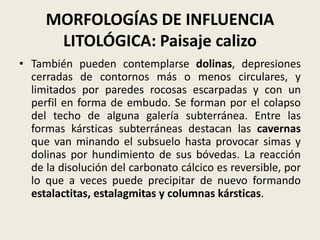 MORFOLOGÍAS DE INFLUENCIA
LITOLÓGICA: Paisaje calizo
• También pueden contemplarse dolinas, depresiones
cerradas de contornos más o menos circulares, y
limitados por paredes rocosas escarpadas y con un
perfil en forma de embudo. Se forman por el colapso
del techo de alguna galería subterránea. Entre las
formas kársticas subterráneas destacan las cavernas
que van minando el subsuelo hasta provocar simas y
dolinas por hundimiento de sus bóvedas. La reacción
de la disolución del carbonato cálcico es reversible, por
lo que a veces puede precipitar de nuevo formando
estalactitas, estalagmitas y columnas kársticas.

 
