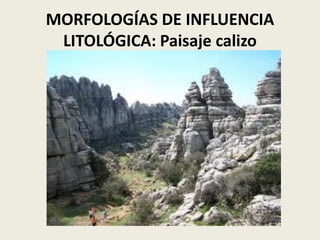 MORFOLOGÍAS DE INFLUENCIA
LITOLÓGICA: Paisaje calizo

 