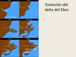 Evolución del
delta del Ebro

 
